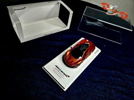TSM Model Mclaren P1